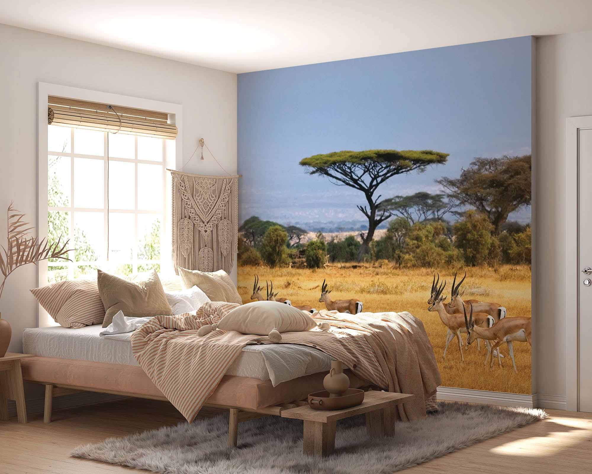 Gazelles - LW00151 Fotobehang