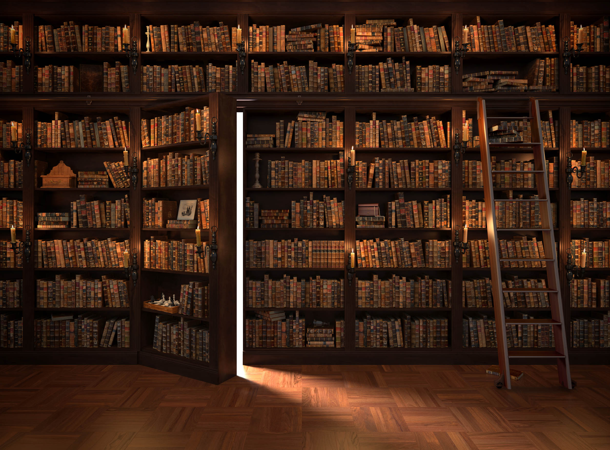 Geheime Bibliotheek Boekenkast - LW00582