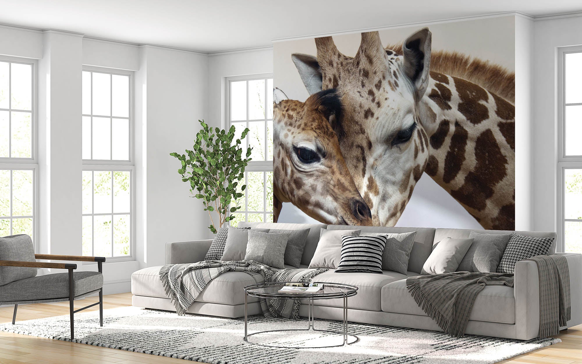 Giraf - LW00154 Fotobehang