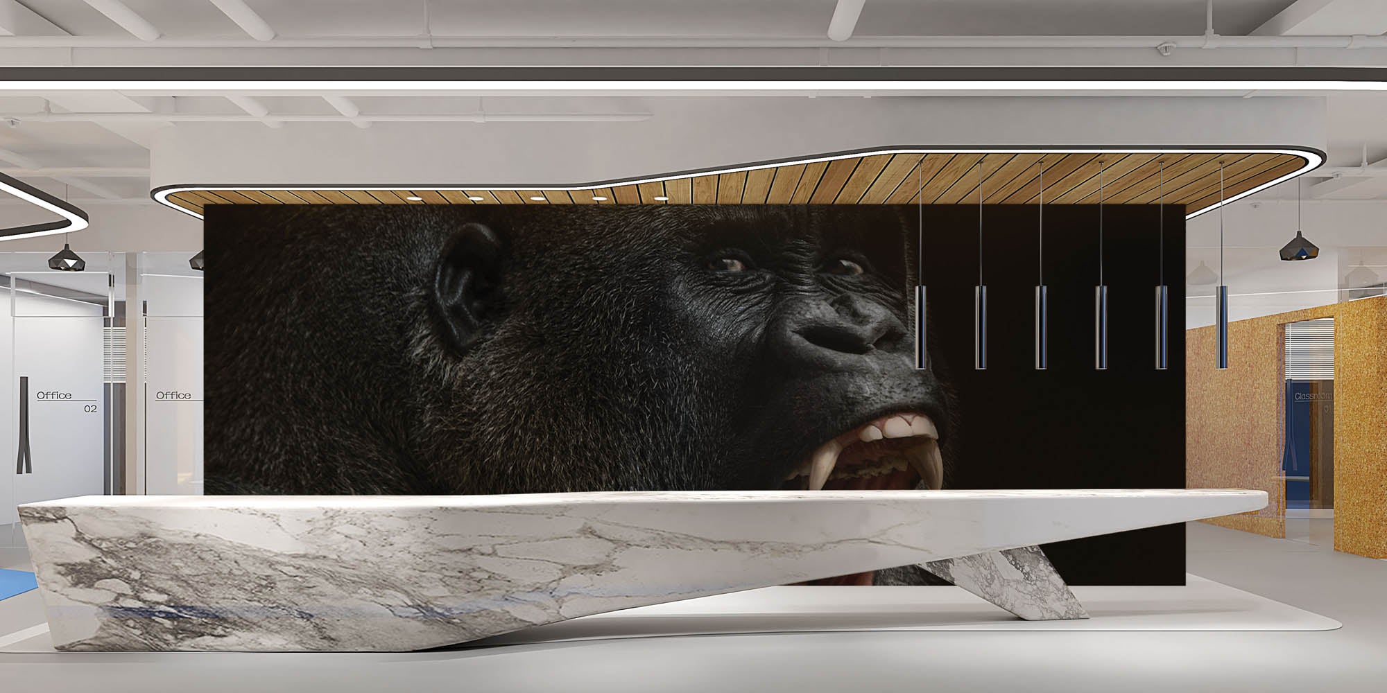 Gorilla kop - LW00160 Fotobehang