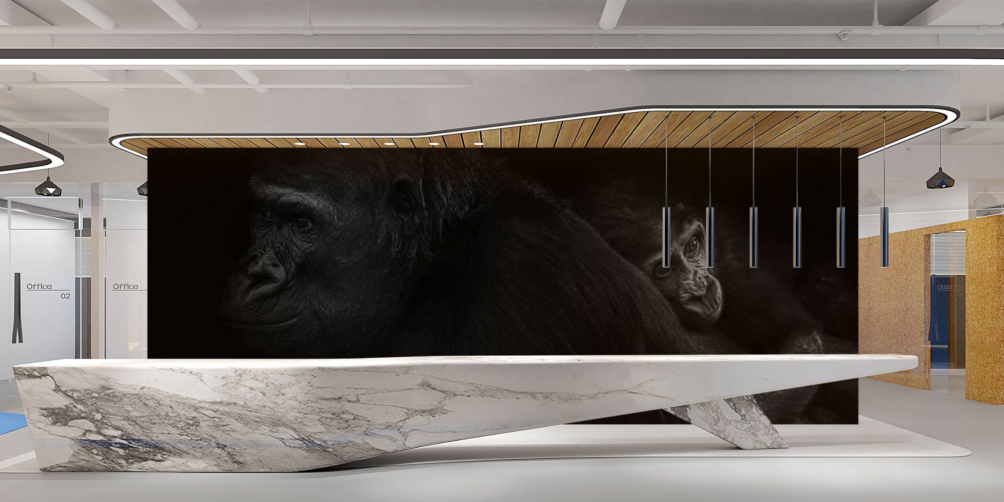 Gorilla - LW00242 Fotobehang