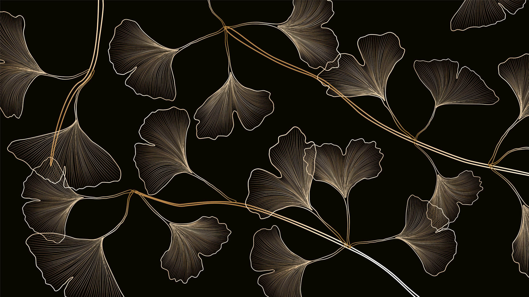 Gouden Ginkgoblad - LW00477 Fotobehang