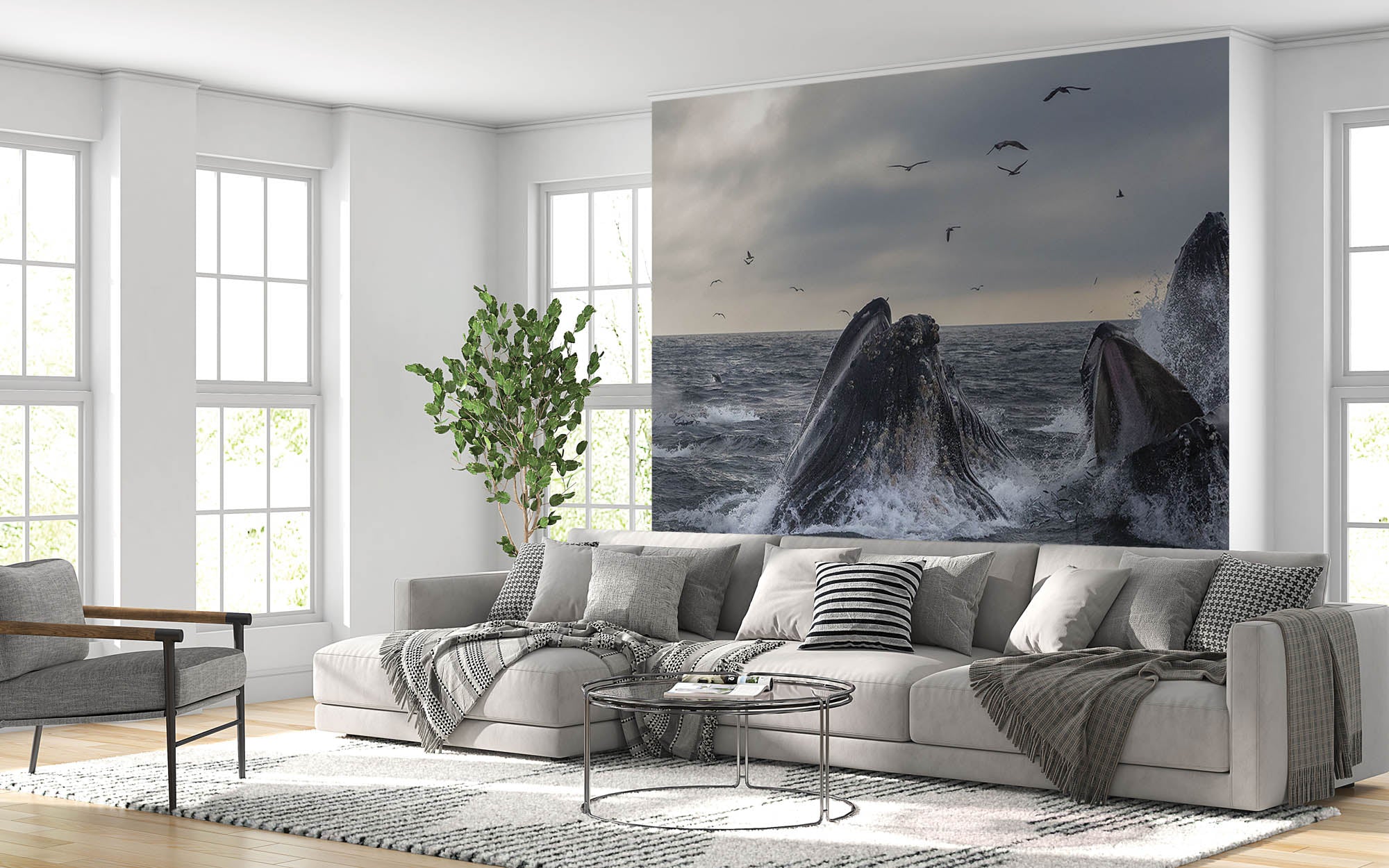 Groep grijze walvissen - LW00184 Fotobehang