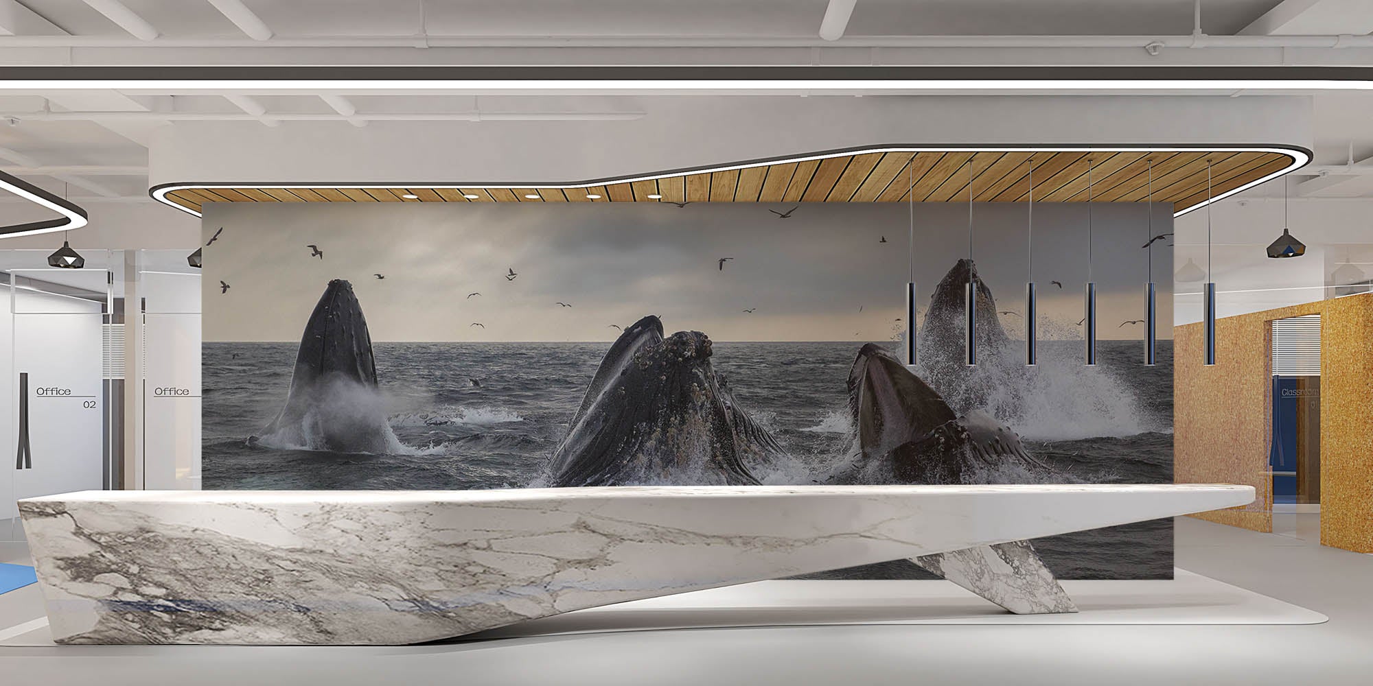 Groep grijze walvissen - LW00184 Fotobehang