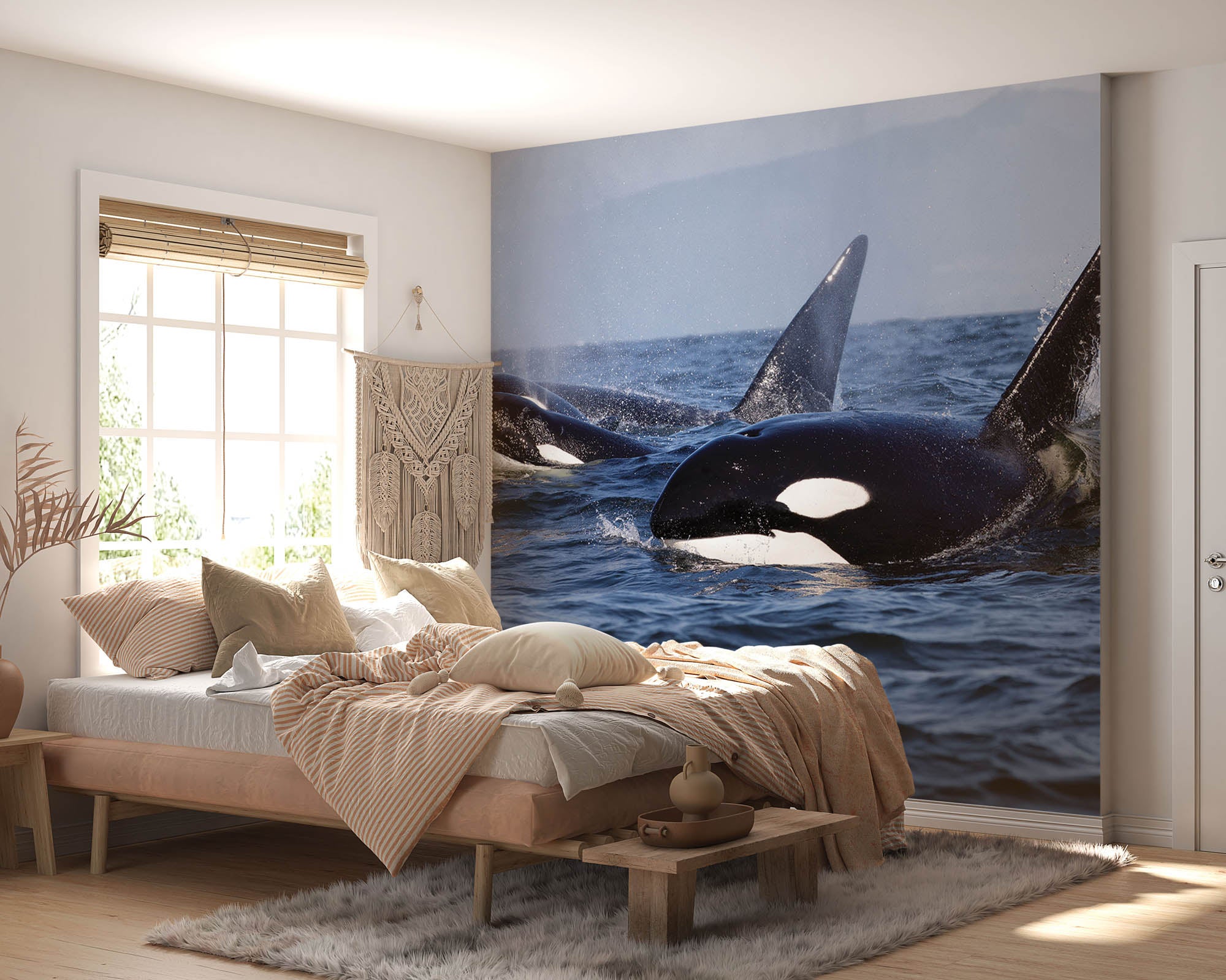 Groepje orka's   - LW00197 Fotobehang