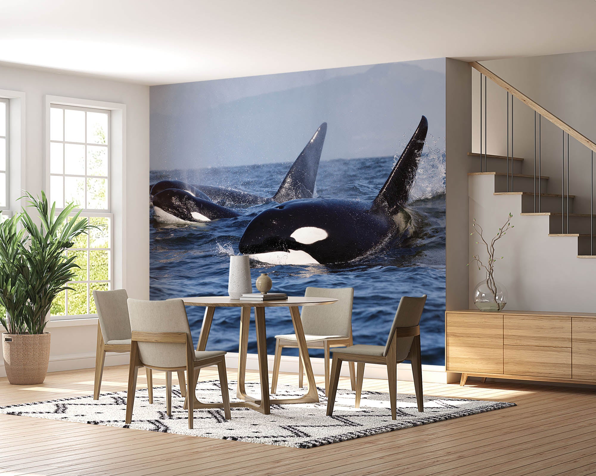 Groepje orka's   - LW00197 Fotobehang