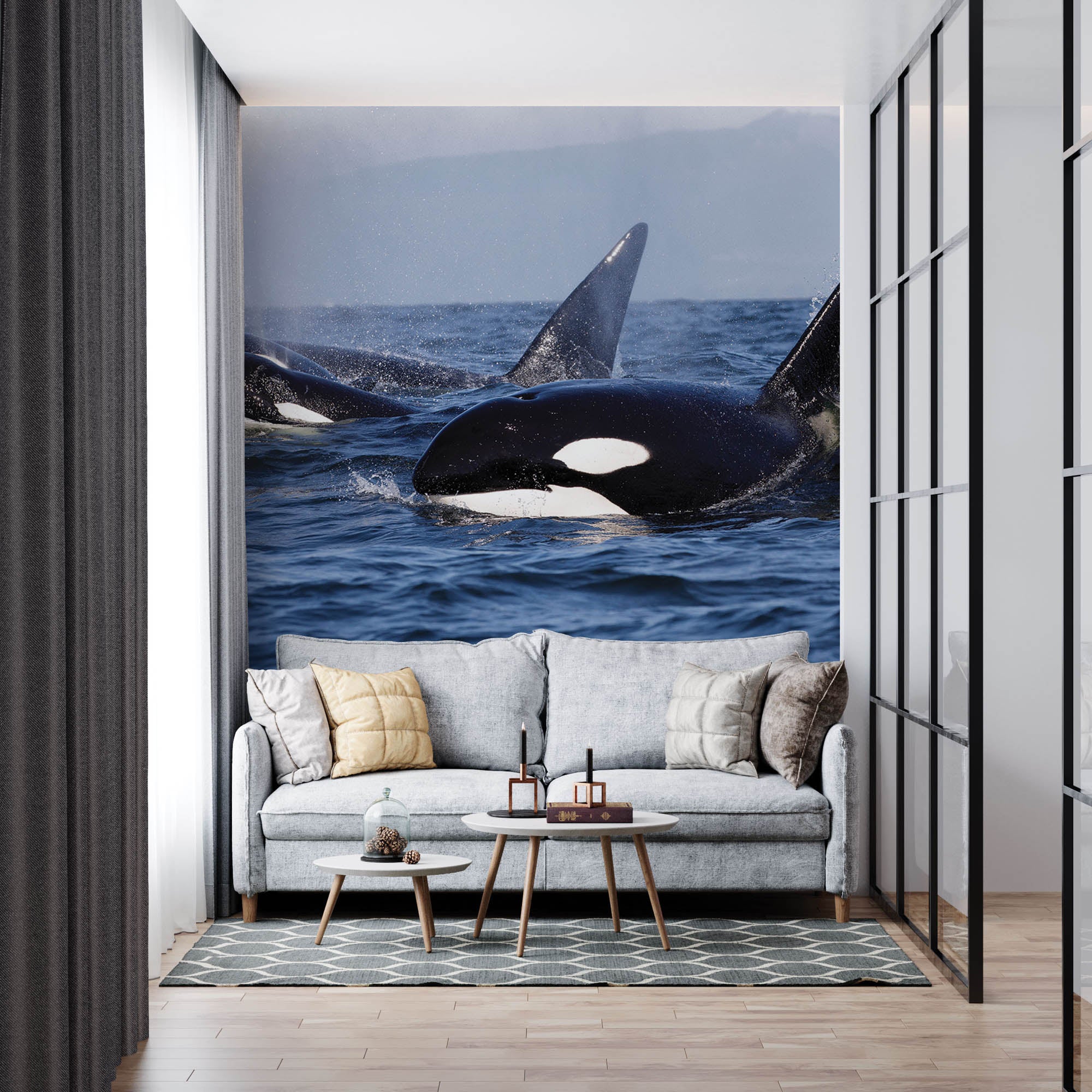 Groepje orka's   - LW00197 Fotobehang