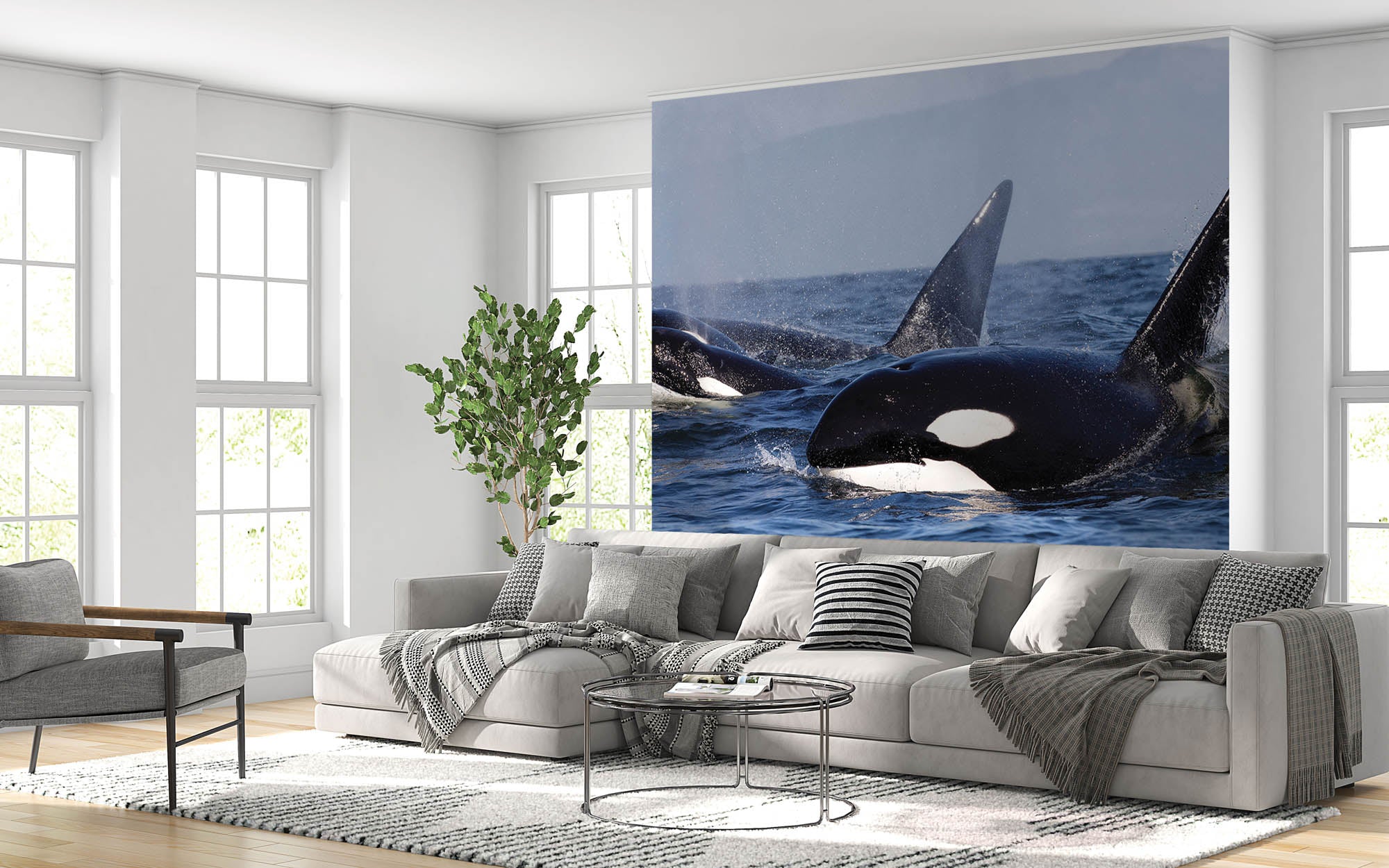 Groepje orka's   - LW00197 Fotobehang