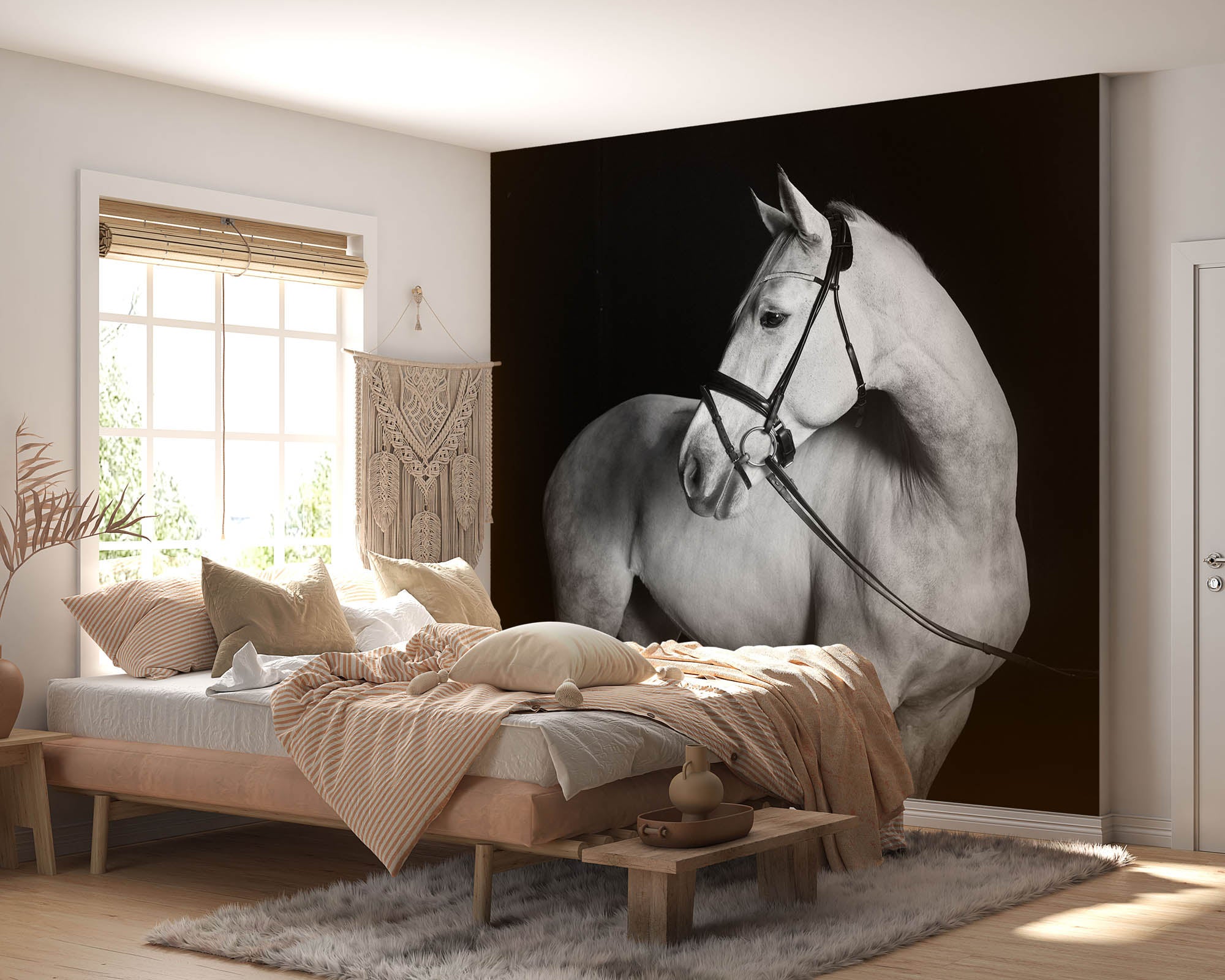 Holsteiner paard  - LW00223 Fotobehang