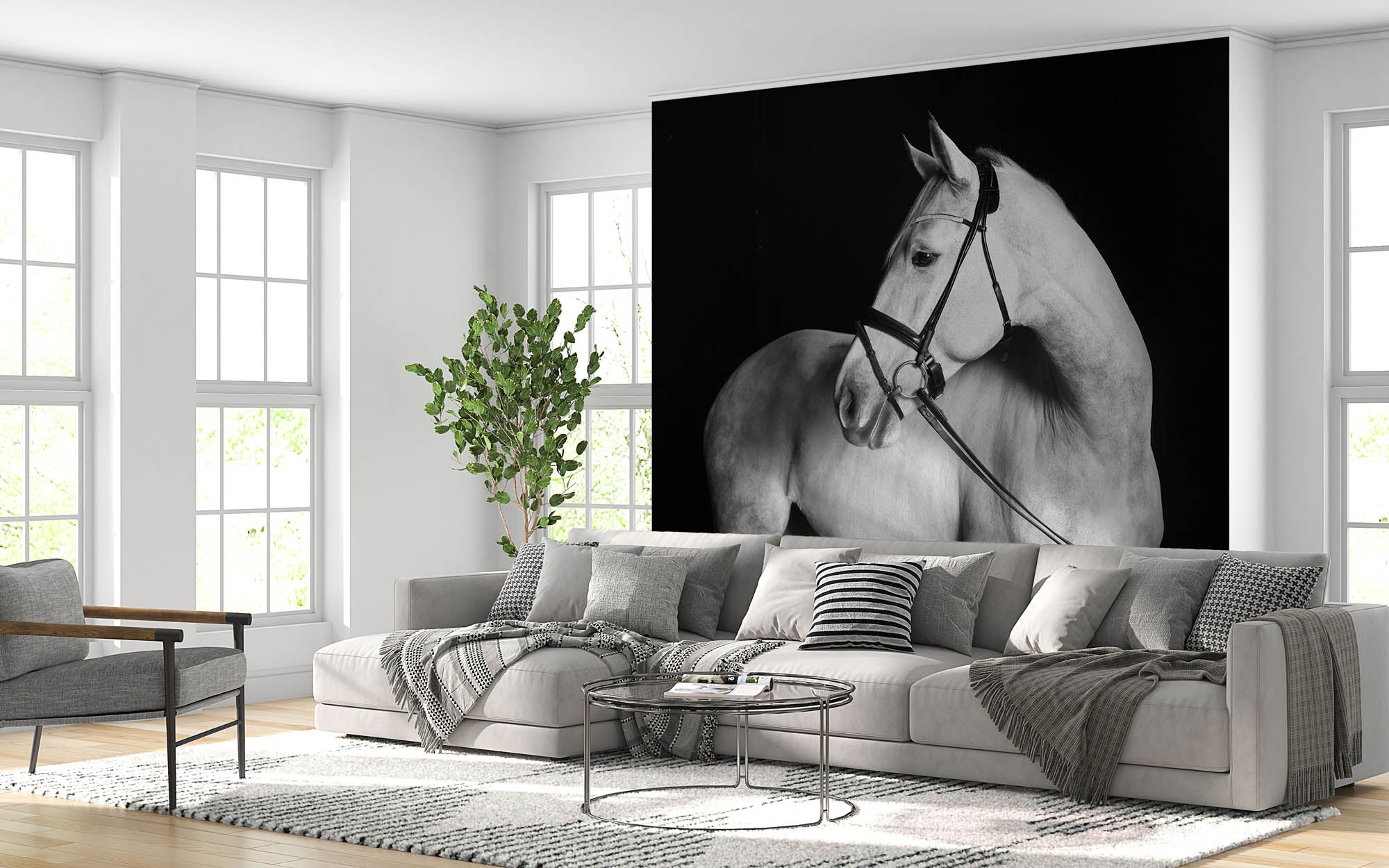 Holsteiner paard  - LW00223 Fotobehang