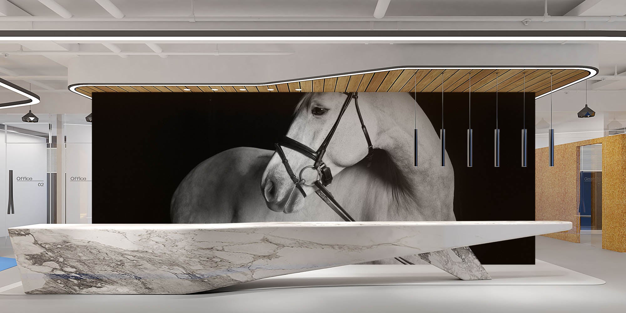 Holsteiner paard  - LW00223 Fotobehang