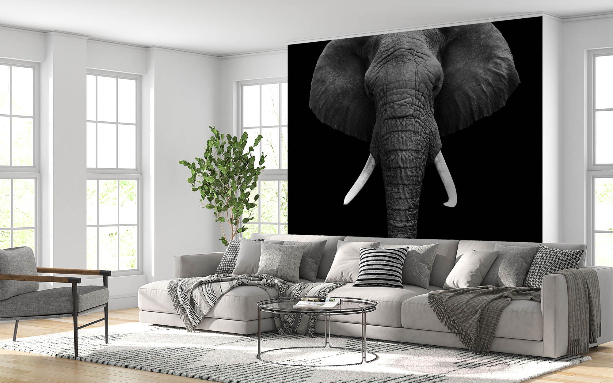 Hoofd olifant - LW00209 Fotobehang