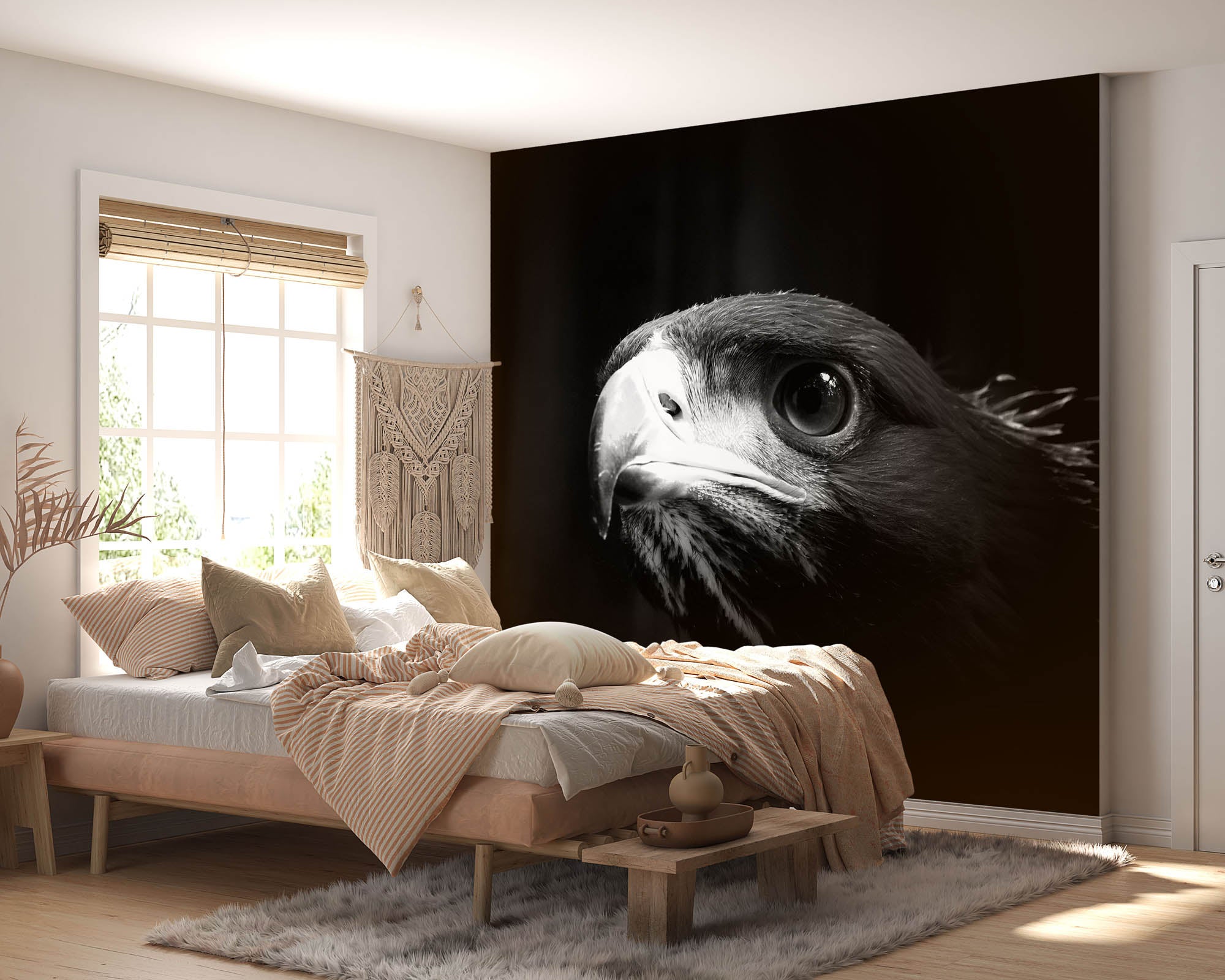 Hoofd steenarend - LW00203 Fotobehang