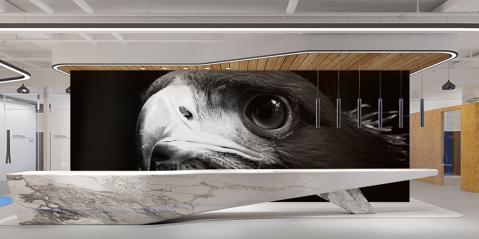 Hoofd steenarend - LW00203 Fotobehang