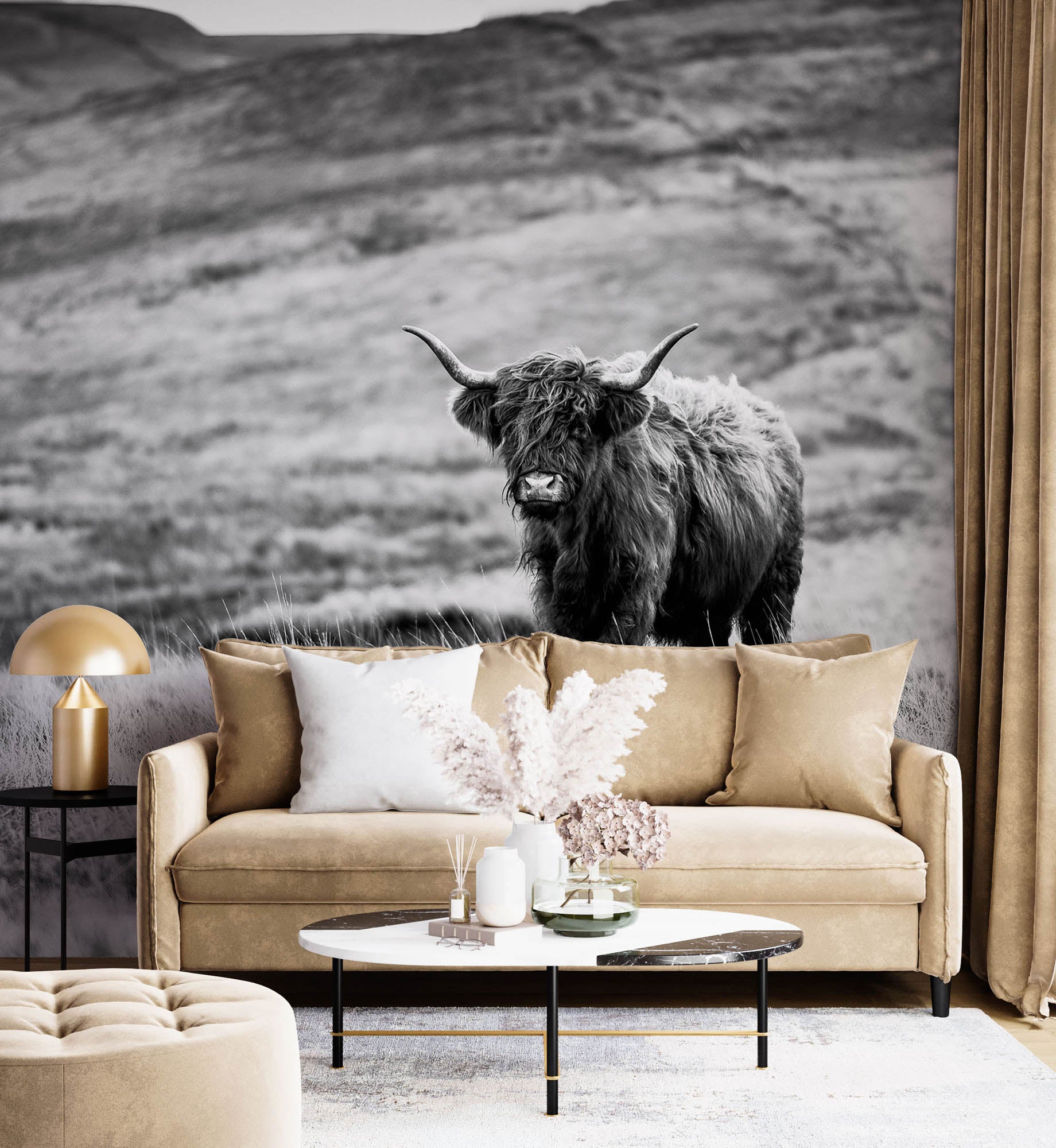 Hooglander in de natuur - LW00235 Fotobehang