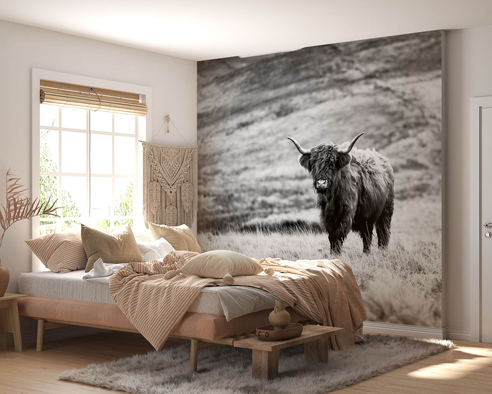 Hooglander in de natuur - LW00235 Fotobehang