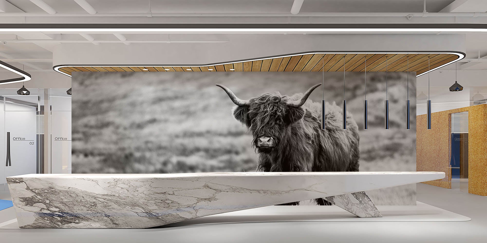 Hooglander in de natuur - LW00235 Fotobehang