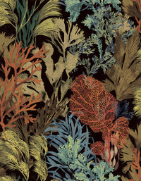 Hooked on Walls Caribbean Bora Bora 27220