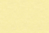 Hooked on Walls Caribbean Plain 27269