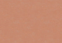 Hooked on Walls Caribbean Plain 27270