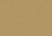 Hooked on Walls Caribbean Plain 27282