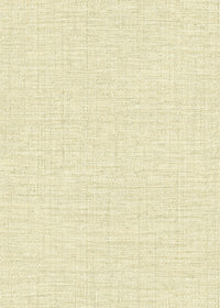 Hooked on Walls Culture Club Straw 14620