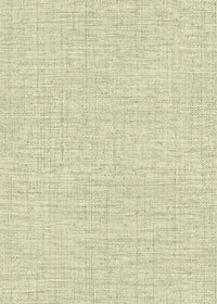 Hooked on Walls Culture Club Straw 14621