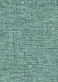 Hooked on Walls Culture Club Straw 14622