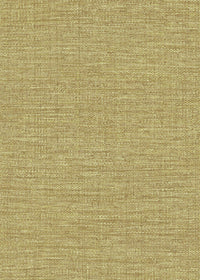 Hooked on Walls Culture Club Straw 14629