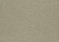 Hooked on Walls Lemuria Baobab 60632