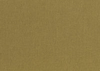 Hooked on Walls Lemuria Baobab 60636