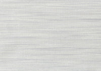 Hooked on Walls Lemuria Unito Rafia 60660