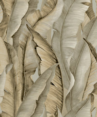 Hooked on Walls Leopard Walk Malay 15340