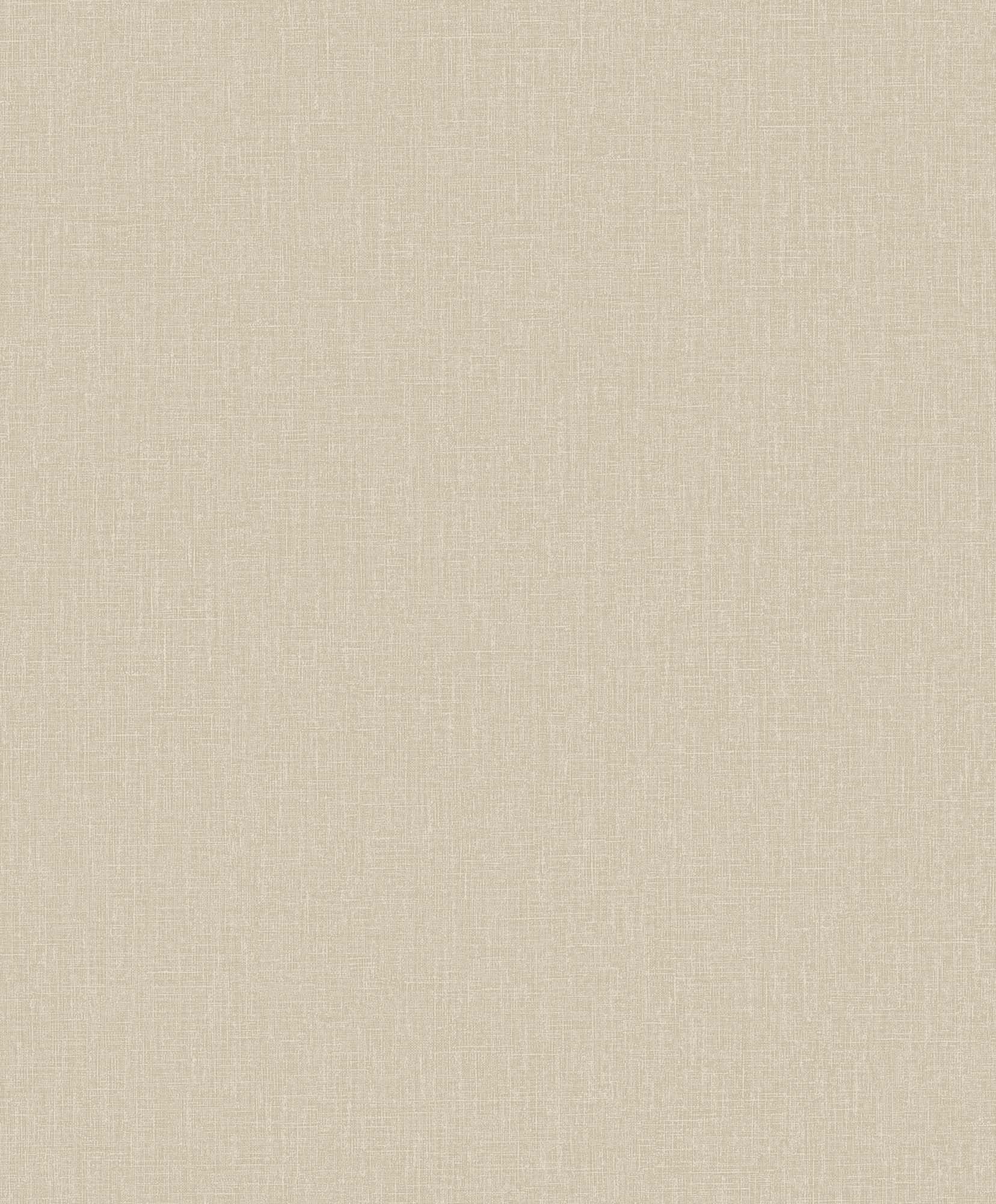 Hooked on Walls Neutralizer 01 Plain 31607