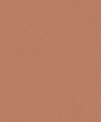 Hooked on Walls Neutralizer 01 Plain 31621