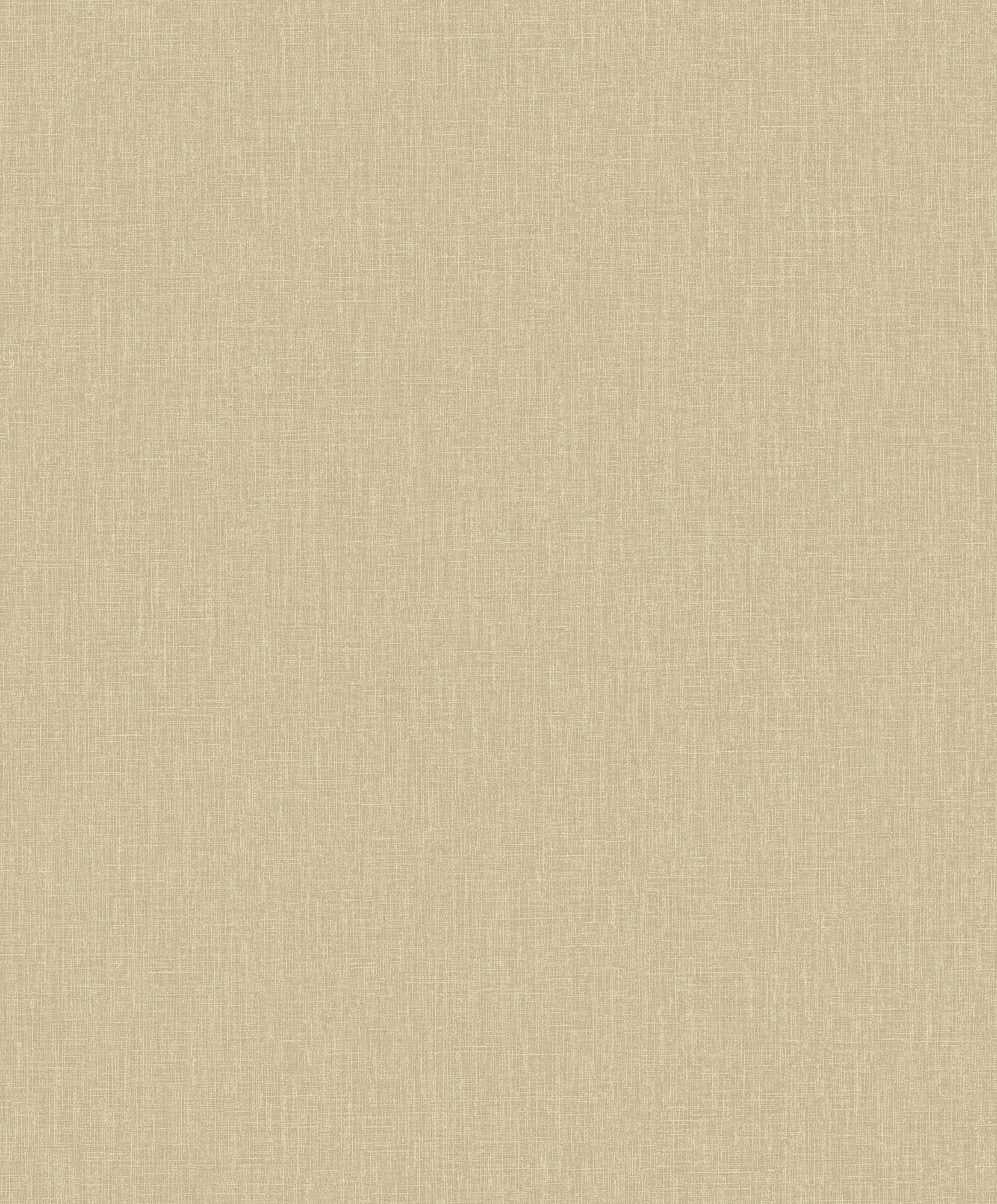Hooked on Walls Passe Partout 2025 Plain 4492 Behang