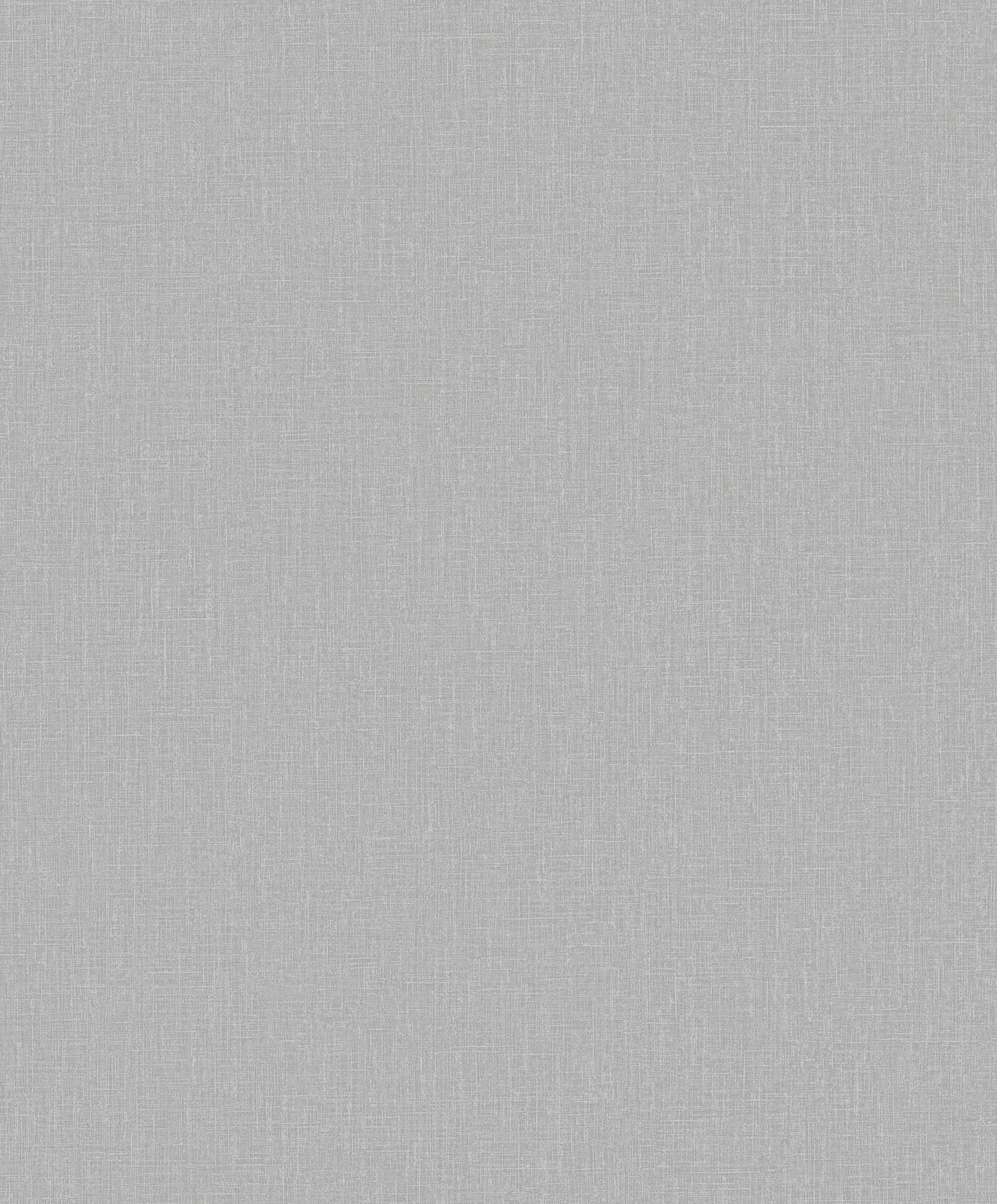 Hooked on Walls Passe Partout 2025 Plain 4522 Behang