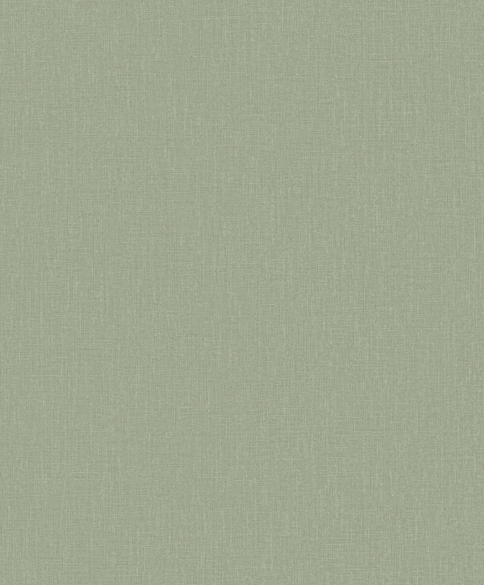 Hooked on Walls Passe Partout 2025 Plain 4565 Behang