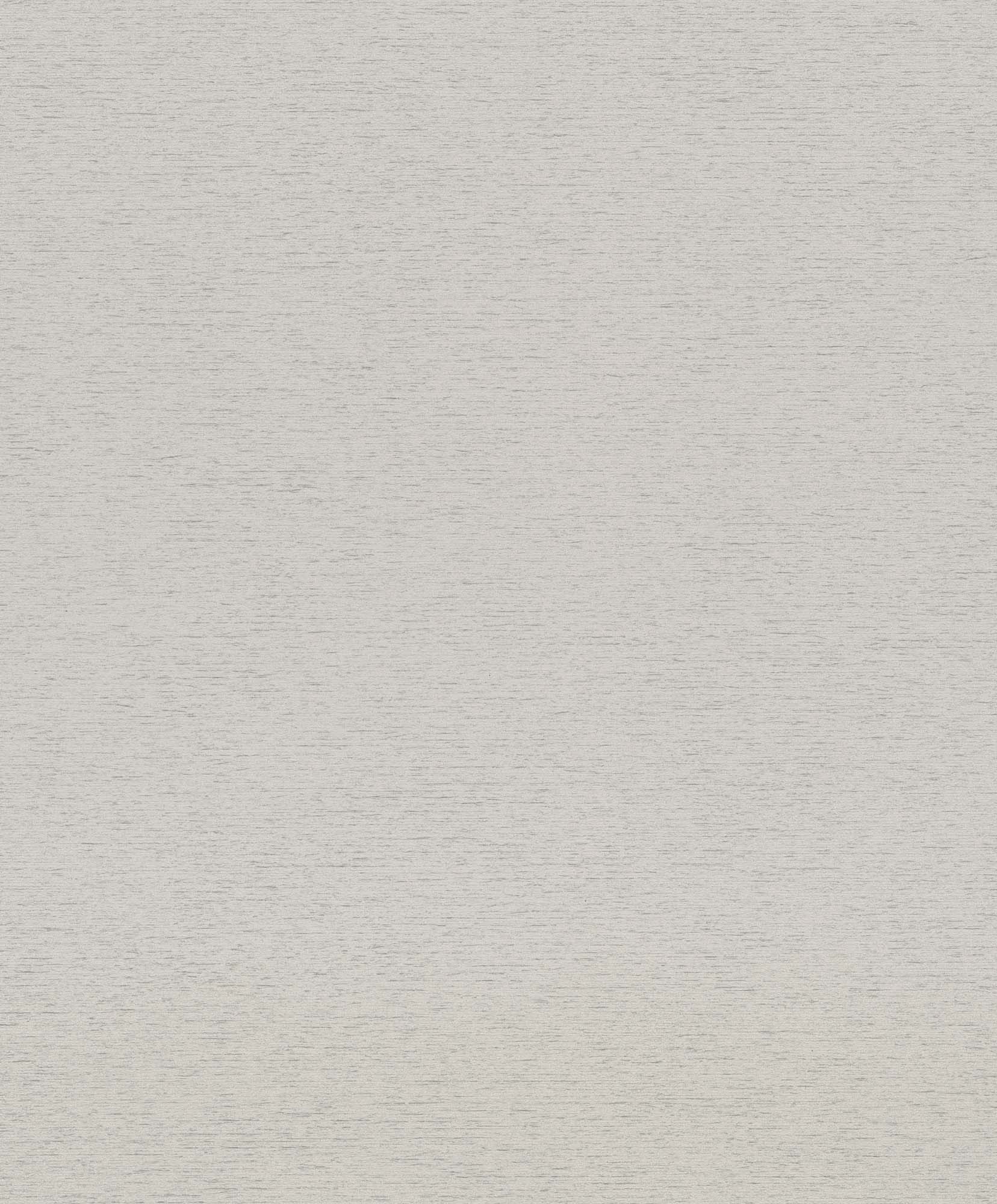 Hooked on Walls Passe Partout 2025 Travertino 4518 Behang