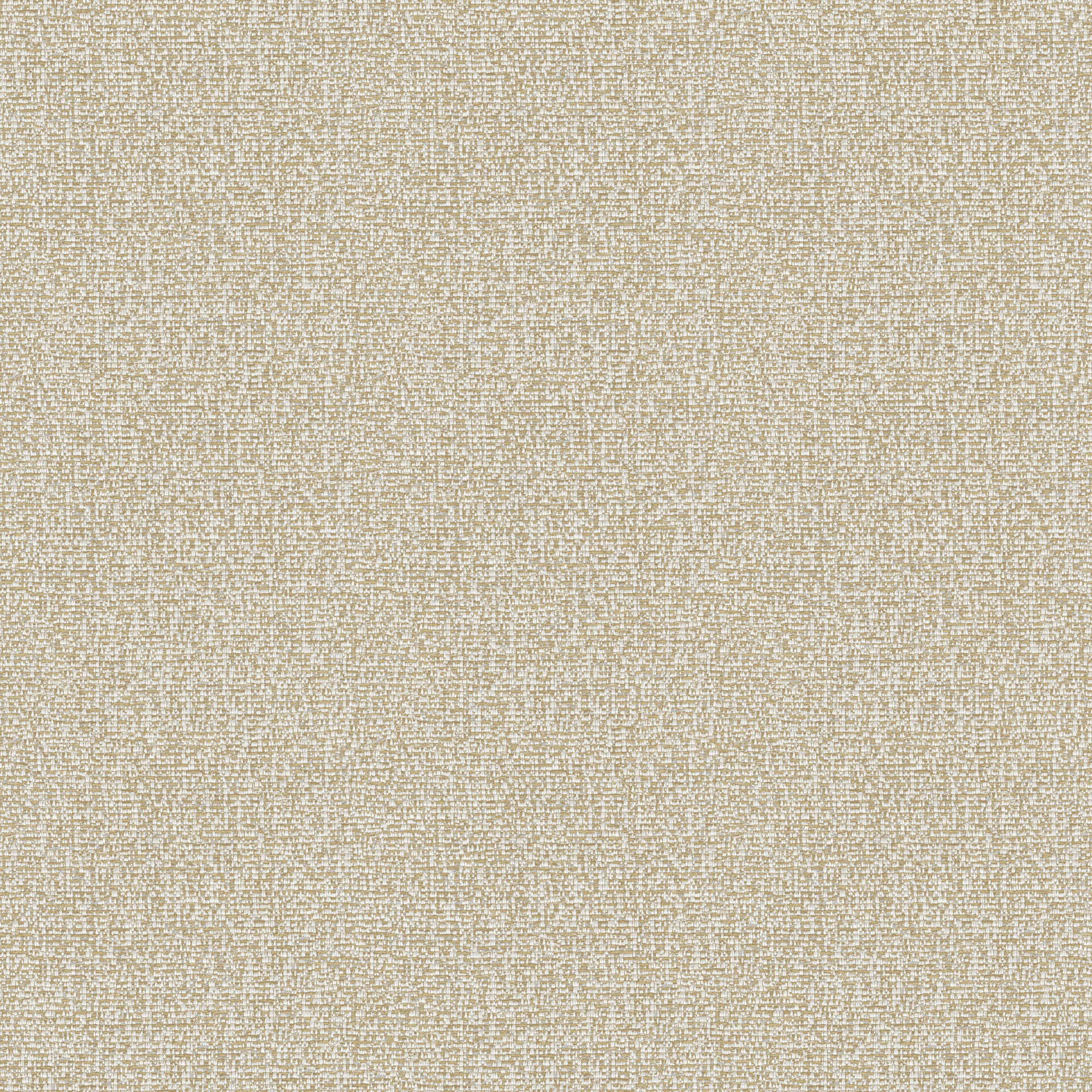 Hooked on Walls Passe Partout 2026 Casa Blanca Cadiz 29742