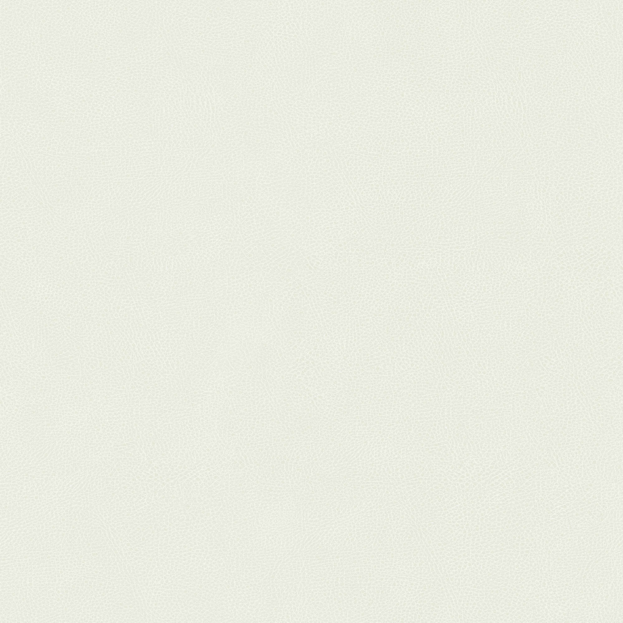 Hooked on Walls Passe Partout 2026 Casa Blanca Pelle 29636 Behang