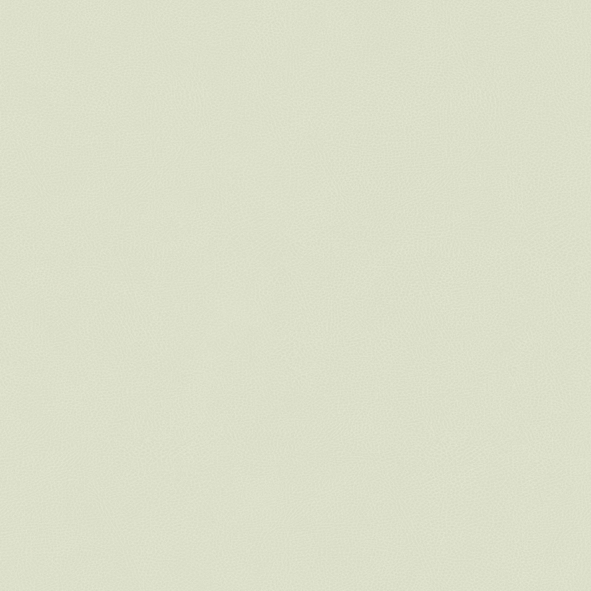 Hooked on Walls Passe Partout 2026 Casa Blanca Pelle 29719 Behang