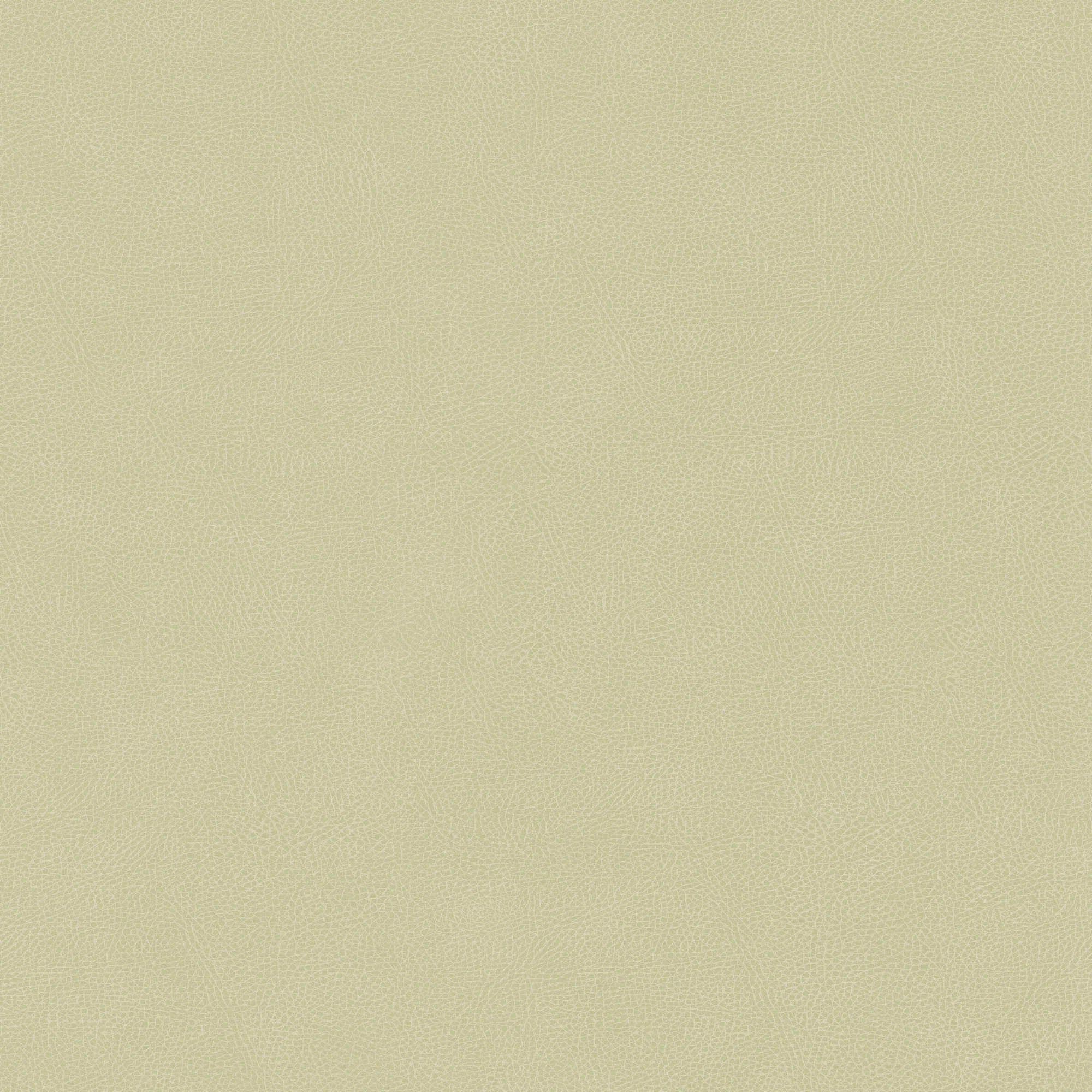 Hooked on Walls Passe Partout 2026 Casa Blanca Pelle 29753 Behang