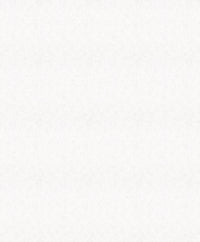 Hooked on Walls Passe Partout 2026 Casa Blanca Shades 29604