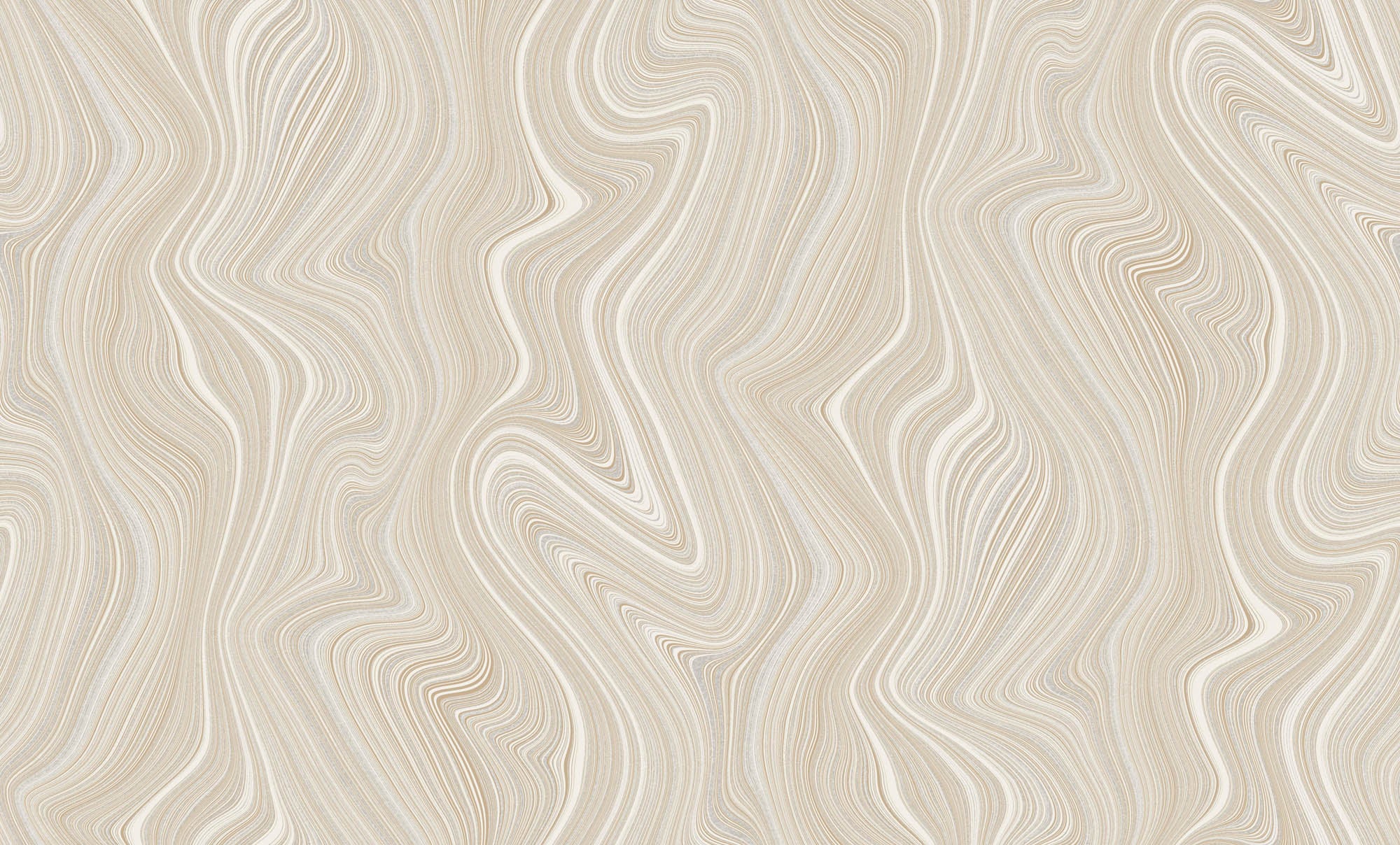 Hooked on Walls Passe Partout 2026 Casa Blanca Tadelakt Plain 29600