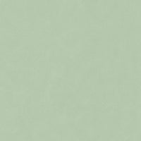 Hooked on Walls Passe Partout 2026 Colour Vibes Pelle 29805