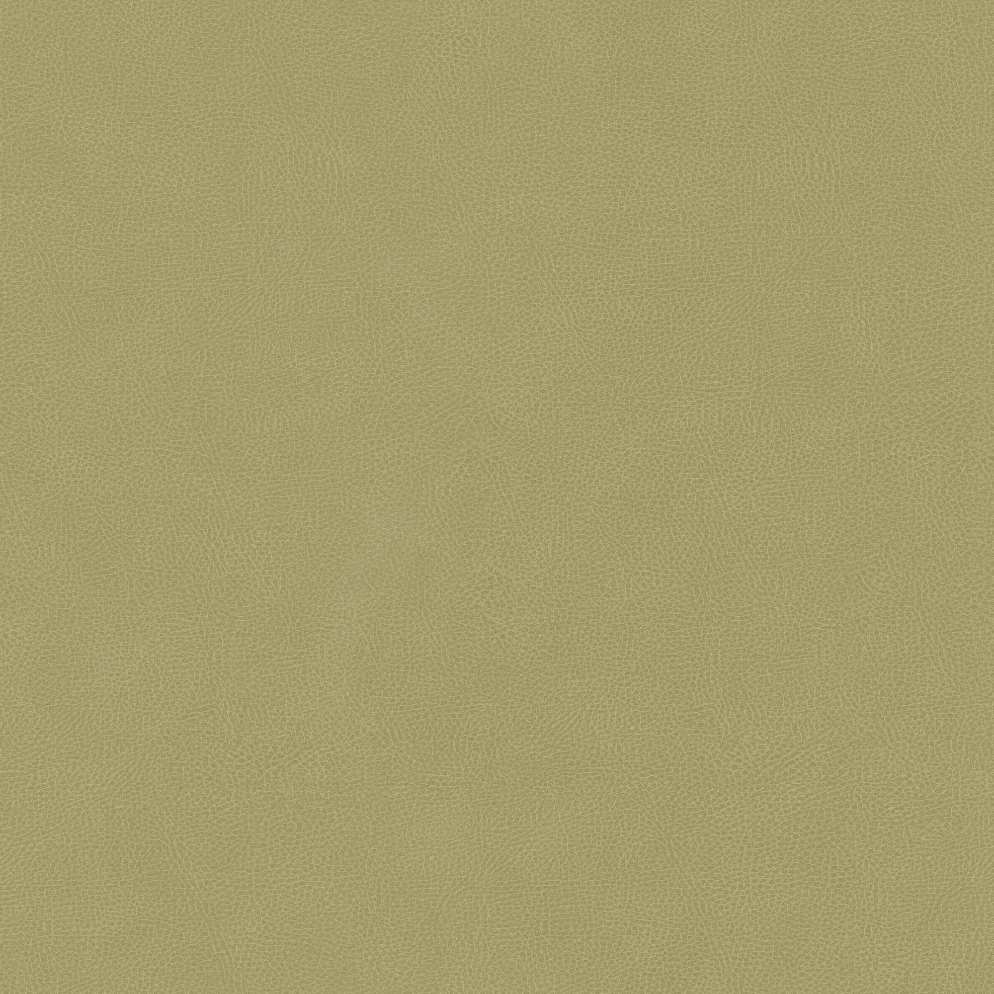 Hooked on Walls Passe Partout 2026 Colour Vibes Pelle 29898 Behang