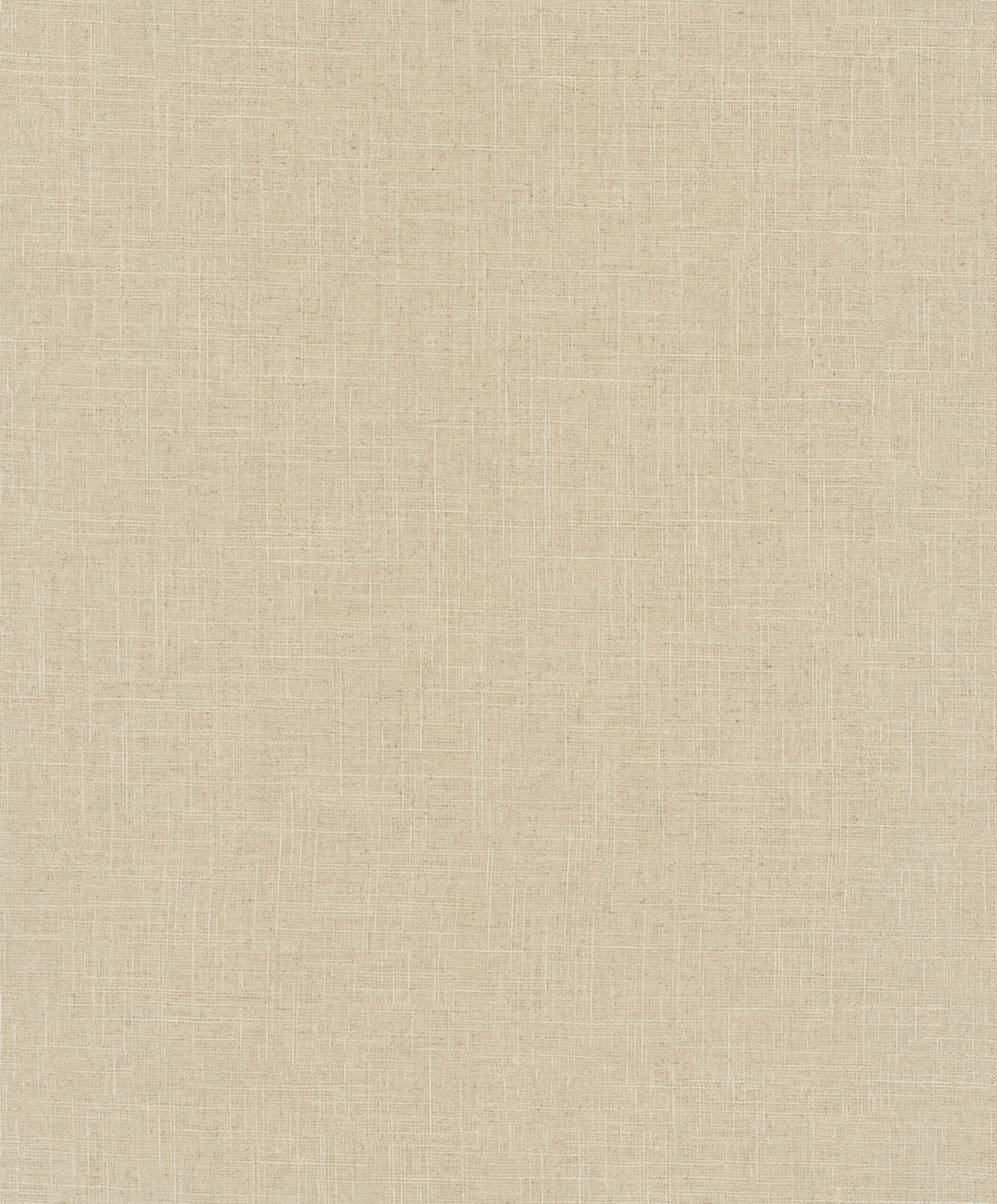 Hooked on Walls Passe Partout 2026 Colour Vibes Uni 29819 Behang