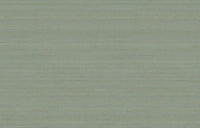 Hooked on Walls Passe Partout 2026 Colour Vibes Uni Soie Tropical 29972