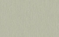 Hooked on Walls Passe Partout 2026 Colour Vibes Yucca Plain 29949